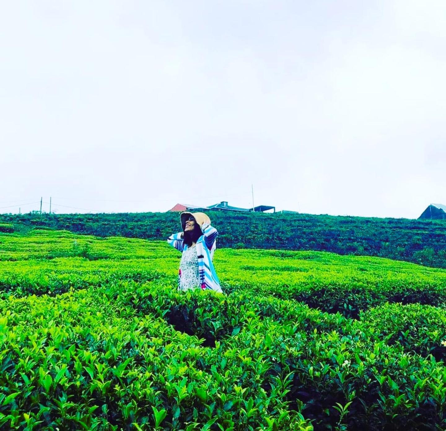 Вілла The Tea Garden Нувара-Елія Екстер'єр фото