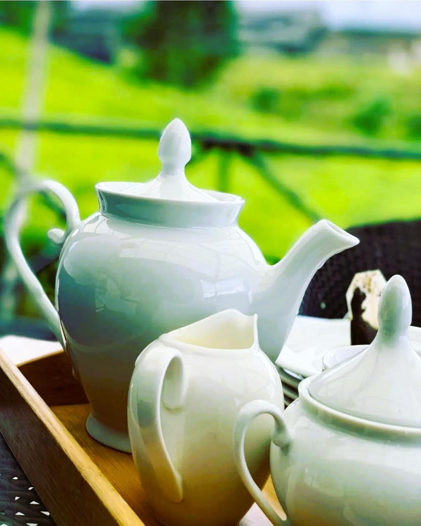 Вілла The Tea Garden Нувара-Елія Екстер'єр фото