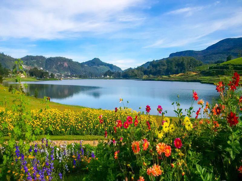 Вілла The Tea Garden Нувара-Елія Екстер'єр фото