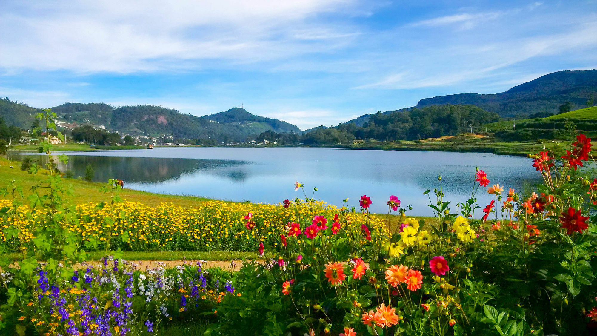 Вілла The Tea Garden Нувара-Елія Екстер'єр фото